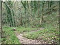 The steep and winding footpath to Foxt in ST10 2HH