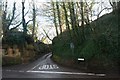 Halves Lane, Holywell in BA22 9NF