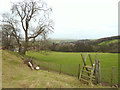 Stile at Nant-y-crai wood in LL19 9TH