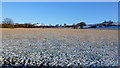 Stubble field in snow in LD3 7YB