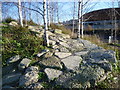 Landscaping in the Queen Elizabeth Olympic Park in E10 5SQ