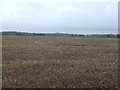 Open Field in Beccles & Worlingham Ward