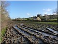 Very horrible muddy field, Milcombe Farm in BA22 9NP