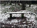 A snow covered seat in the Wyre Forest, near Buttonoak in DY12 3AD