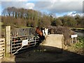 Horses near Hangingbank Wood in S80 4LE