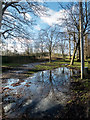 Puddle near Animal Hospital Hospital, Trent Park, Cockfosters in EN4 0PS