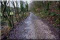 West Devon Way in PL20 6HZ