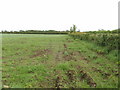 Grass field by Granborough road in MK18 3NT