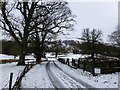 Snowy driveway, Culcreuch Castle Hotel in G63 0YB