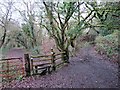 Llwybr Dyfnant / Dunvant Path in SA2 7TU