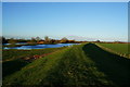 The flood bank  towards Angram Clough in YO8 5JZ