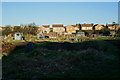 Allotments on Landing Lane, Riccall in YO19 6PN