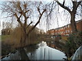The River Colne by Waters Drive, Staines in TW18 4YJ