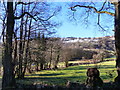 Looking across the Monmouthshire and Brecon canal in NP4 8RH