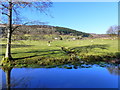 Spring joining the Monmouthshire and Brecon Canal, north of Mamhilad in NP4 8RH