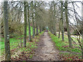 Path lined with trees in UB3 1EJ