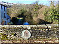 View of the Canal from the bridge near Brook Farm in NP4 8RH