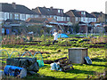 Scarecrow on the allotments in UB10 9NB