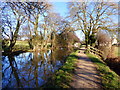 Looking towards "Bridge 69" on the Monmouthshire and Brecon Canal in NP4 8RE