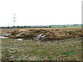 Frozen muck heap beside Long Lane in Tharston and Hapton