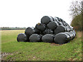 Stacked silage bales beside Long Lane in Tharston and Hapton