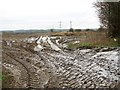 Frozen field by Low Tharston in Tharston and Hapton