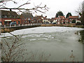 Frozen pond at Mulbarton Common in NR14 8JU