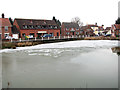Frozen pond at Mulbarton Common in NR14 8JP