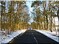 Road near Hill of Murdostoun in ML1 5LP
