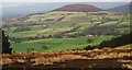 Heather and bracken covered slopes. in DL6 3DL