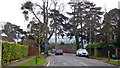 Cluster of trees, Moorend Park Road in GL53 0HB