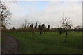 The Bramley orchard in Norwood Park in NG25 0DX