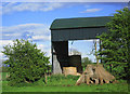 Farm Shed in Irthington