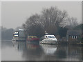 Misty Thames, Laleham in TW18 1SJ