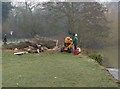 Tree felling by the Thames in TW18 1SJ