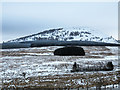 Moorland north of Great Mell Fell in CA11 0SJ