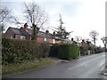 Houses on the east side of Rake Lane in Christleton