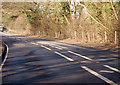 Bend in B245 London Road in TN11 8NR