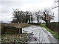 Public bridleway to Oaks Farm, in winter in CH66 7PD