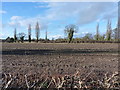 Winter fields north of Brewood in ST19 9LT