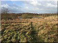 Bateswood Country Park: rough grassland in ST7 8AB