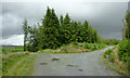 Forestry road junction on Esgair Fawr, Ceredigion in Tregaron Community