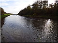 Wansbeck Country Park during a Rowing Regatta in NE63 8XS