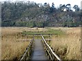 Boardwalk for Seven Oaks Nature Reserve in EX39 5AL