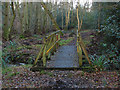 Footbridge in the woods in GU22 0RA