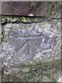 Ordnance Survey Cut Mark in St. Ishmael Community