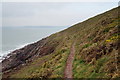 Pembrokeshire Coast Path towards Priest's Nose in SA70 7TA
