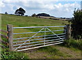 Farm gate along Loddington Road in Billesdon & Tilton Ward