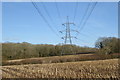 Electricity pylon in field south of Kiln Wood in PO17 6BJ