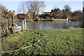 Barge and geese on the Thames from gateway on Thames Path in Burcot